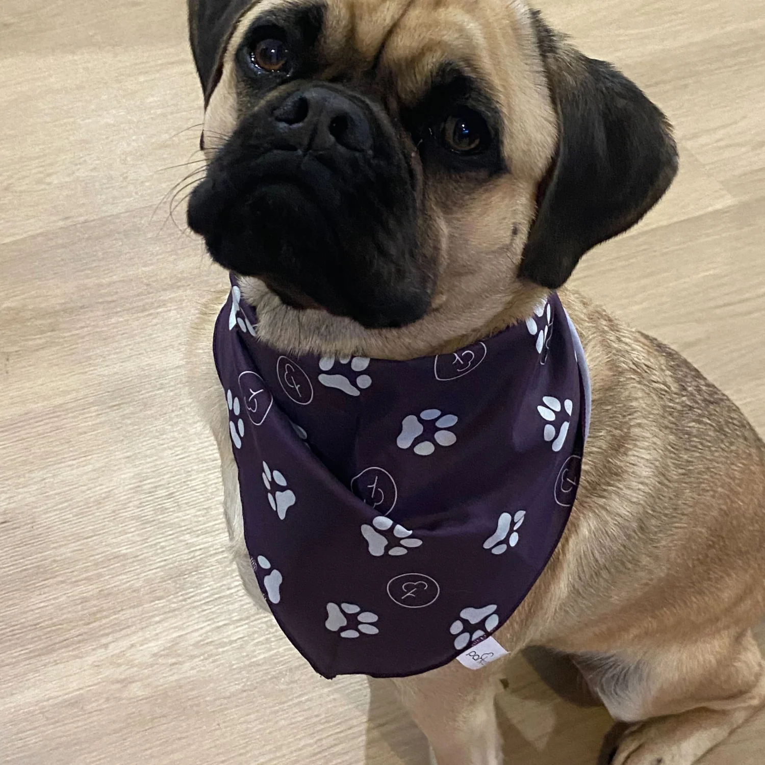 Pet Barkdana - Image 3