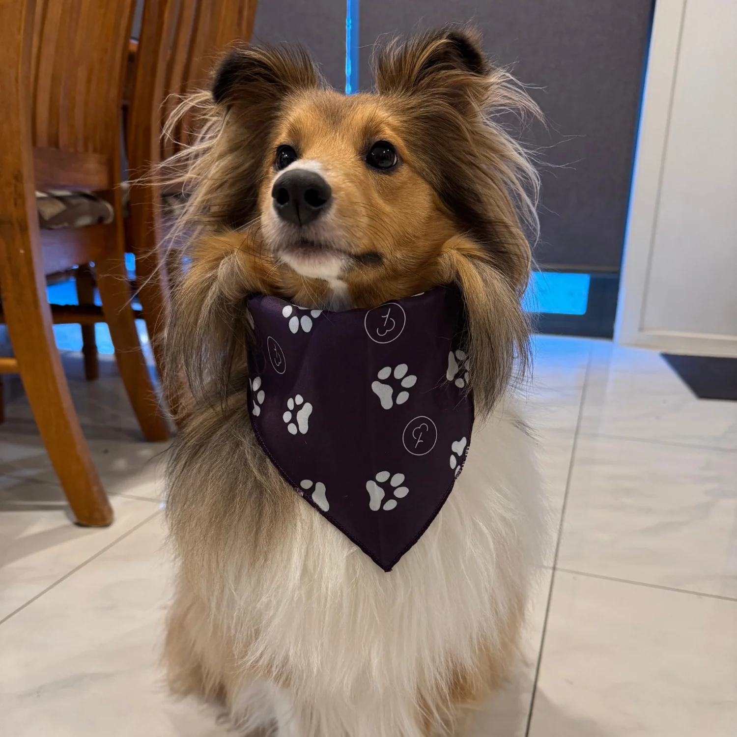 Pet Barkdana - Image 7